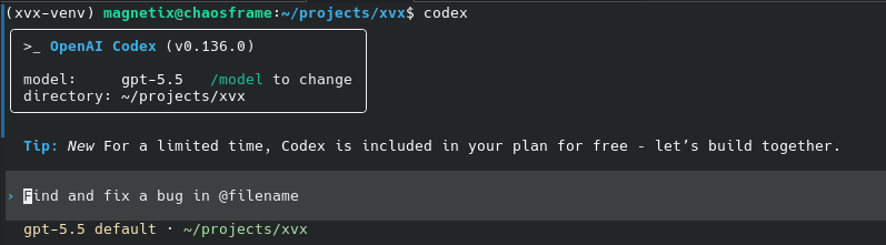 OpenAI Codex terminal showing that Codex is included in the current plan.