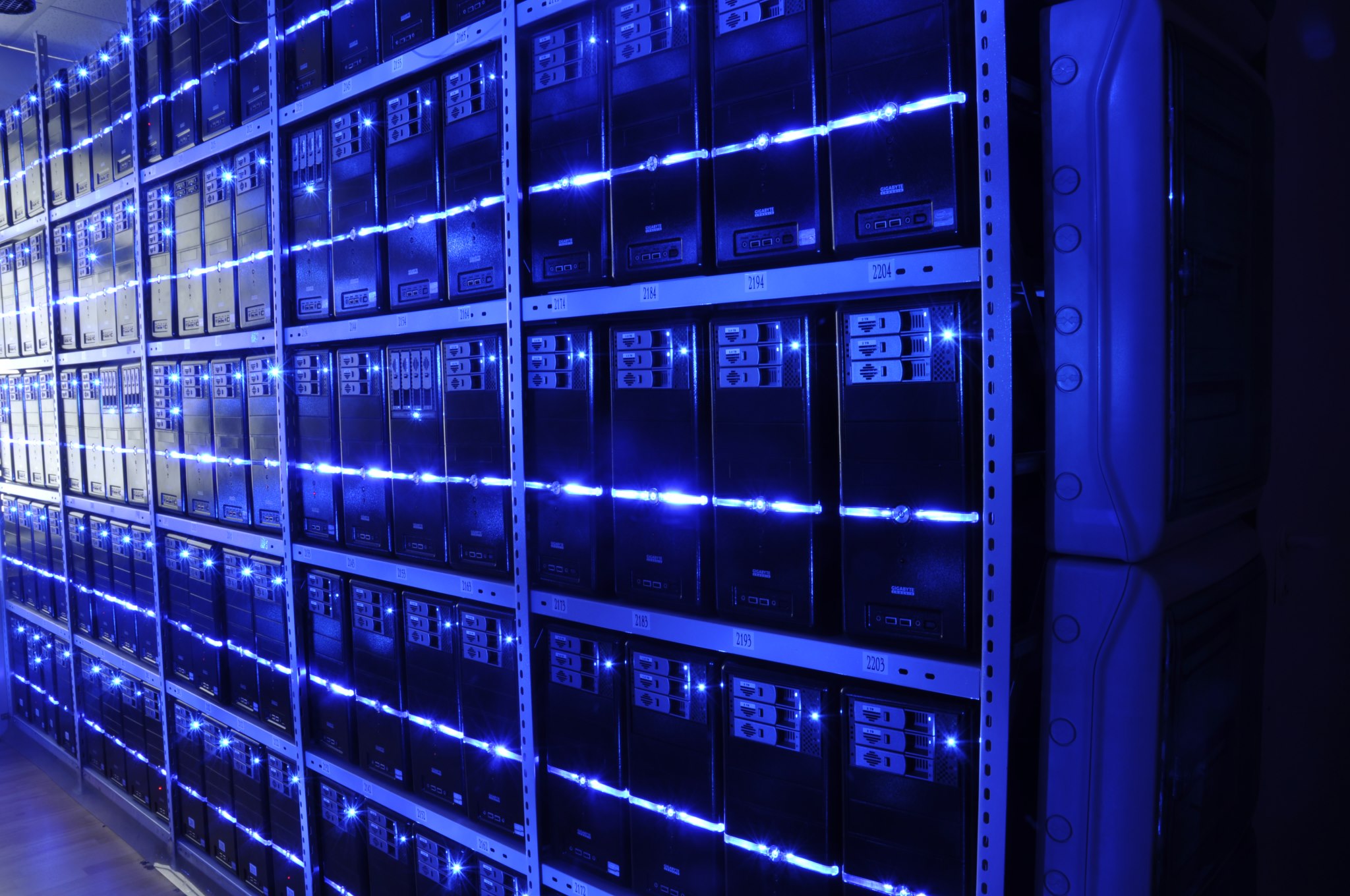 Server room with illuminated racks and cabling in a data center